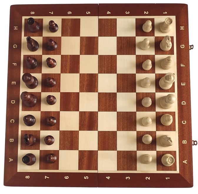 Турнірні шахи №5 Мадон